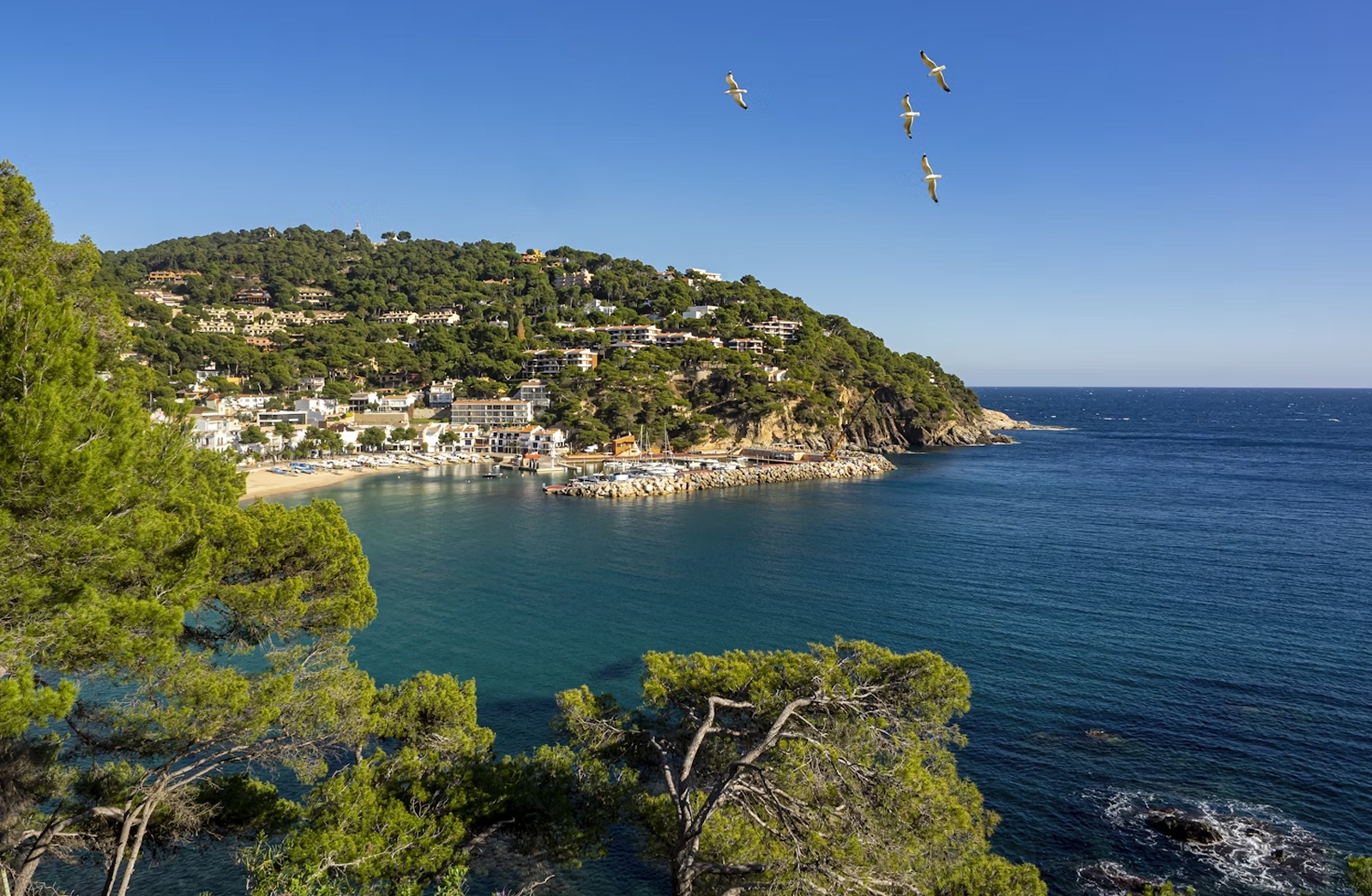 Échange de maison sur la Costa Brava – Évasion catalane sur la côte sauvage