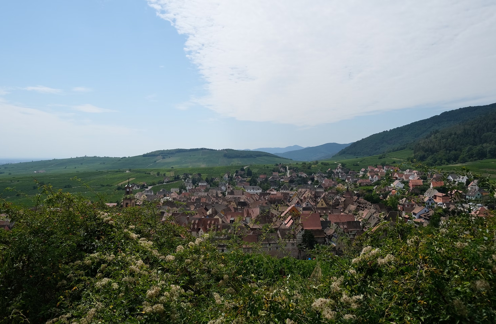 Échange de maison à Riquewihr – Un village de carte postale au cœur des vignes